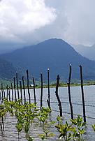 © WWF-Indonesia/Huzer
© WWF-Indonesia/Huzer