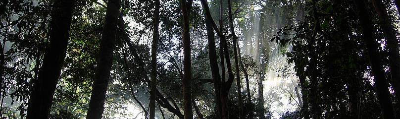 © WWF-Indonesia
© WWF-Indonesia