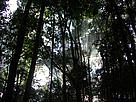 © WWF-Indonesia
© WWF-Indonesia