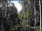 © WWF-Indonesia
© WWF-Indonesia