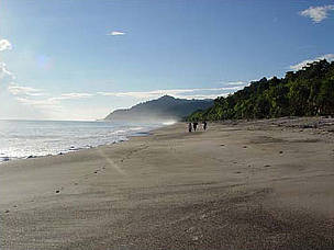 Bentang Pantai Warmon di Kepala Burung Papua
© WWF-Indonesia/Lie Tangkepayung
© WWF-Indonesia/Lie Tangkepayung