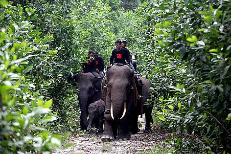 © WWF-Indonesia/Mast Irham rel=