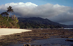 © WWF/Anton FERNHOUT
© WWF/Anton FERNHOUT