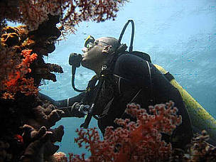 © WWF-TNC for Wakatobi National park
© WWF-TNC for Wakatobi National park