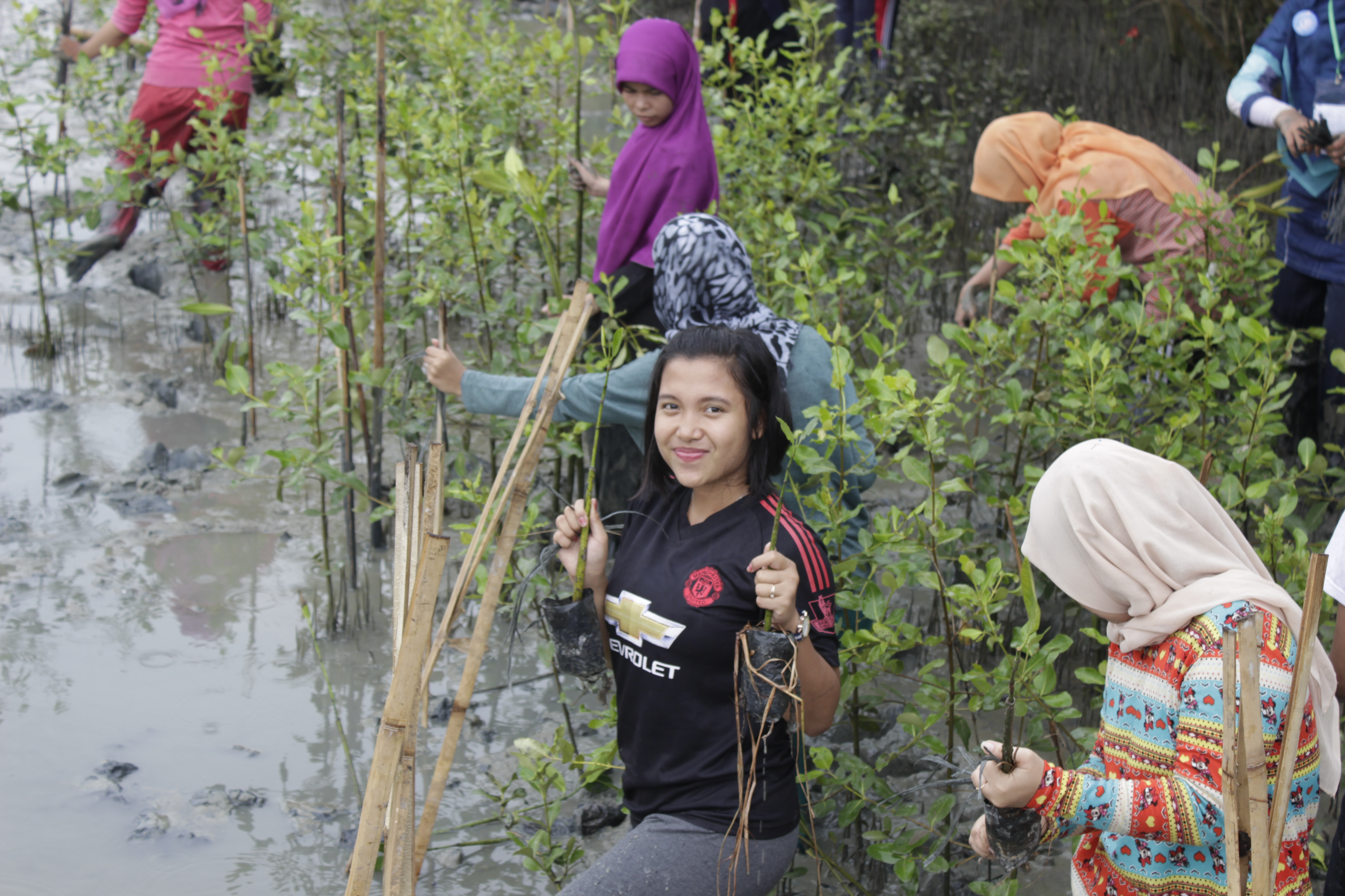 870 Koleksi Gambar Pantai Romantis Di Medan Gratis Terbaru