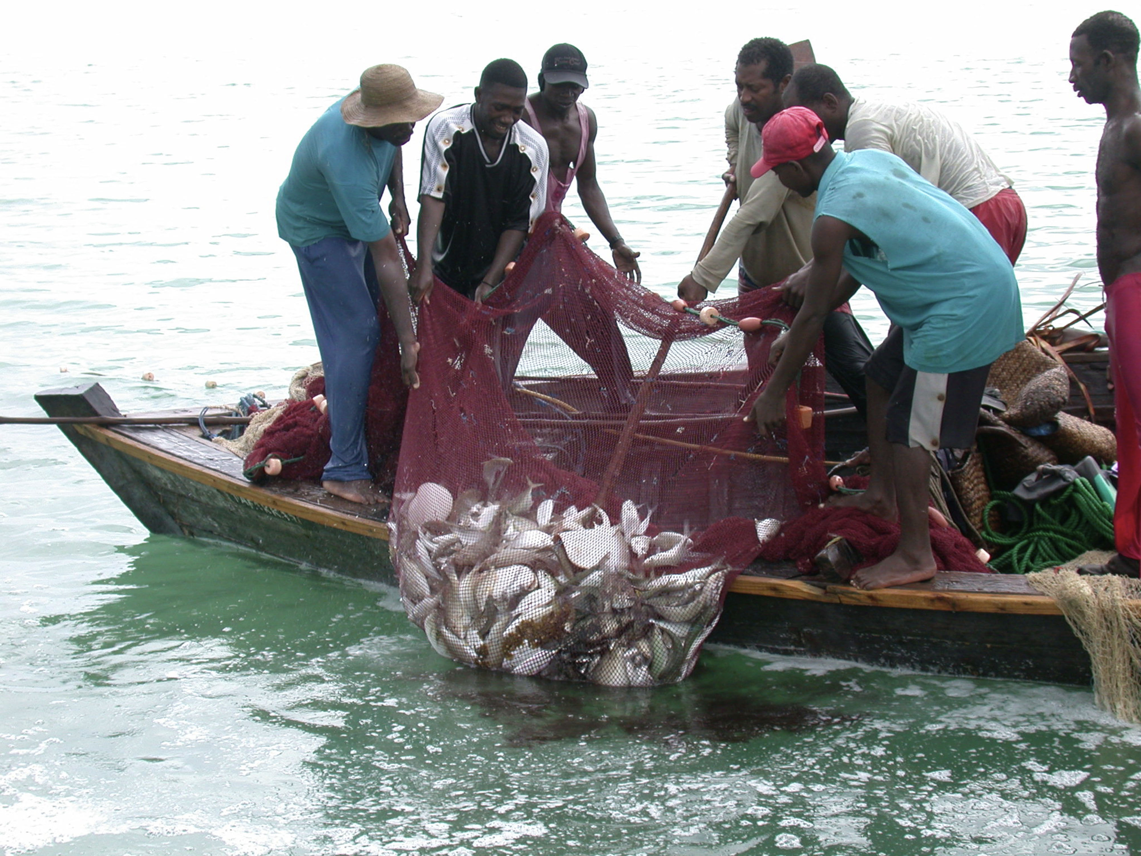 Trawl dan Cantrang, Keuntungan yang Buntung  WWF Indonesia