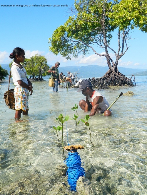 Upaya Apa Saja Untuk Menjaga Kelestarian Laut Berbagai Peruntukan