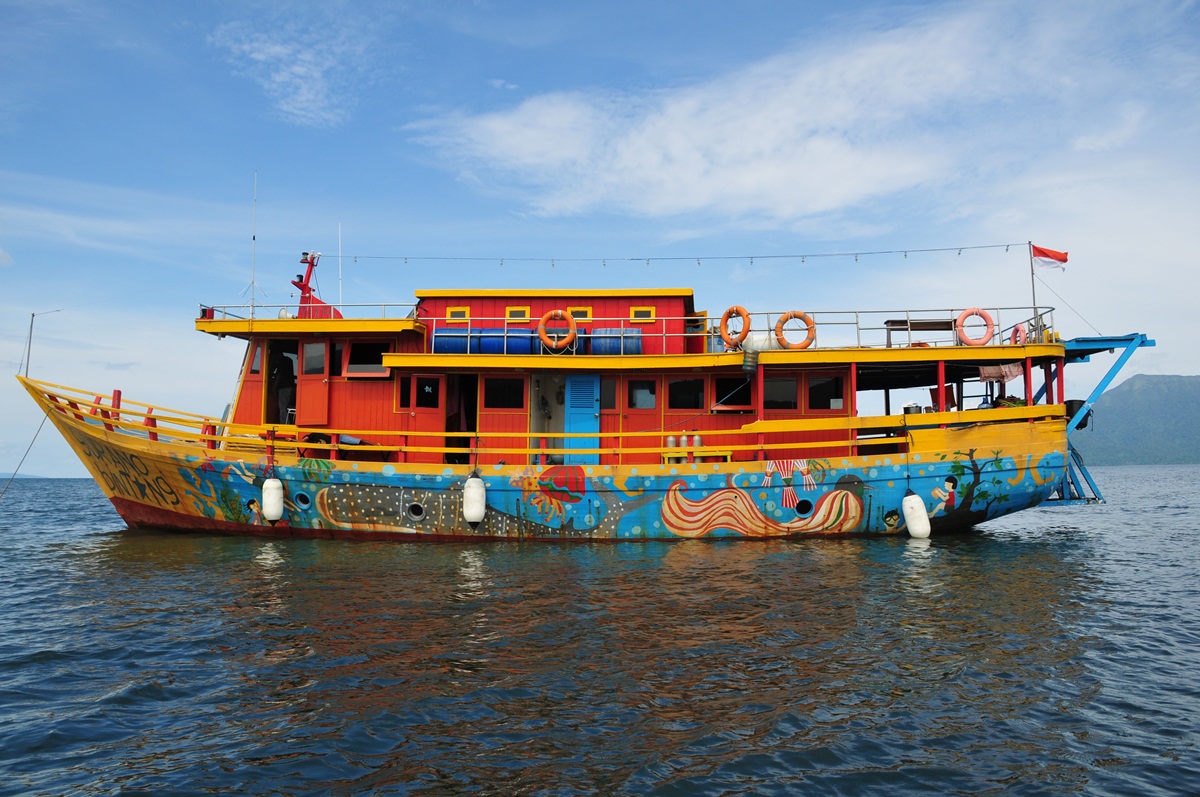 4300 Koleksi Gambar Ikan Hiu Di Perahu Gratis Terbaik